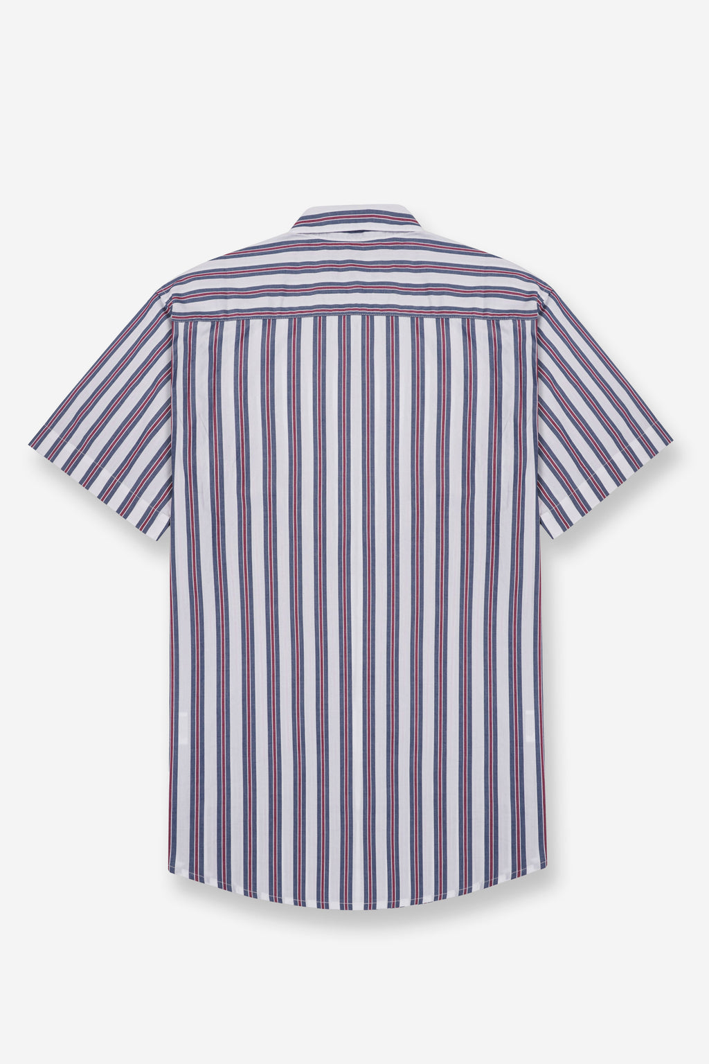 Men's Vivid Stripe Shirt